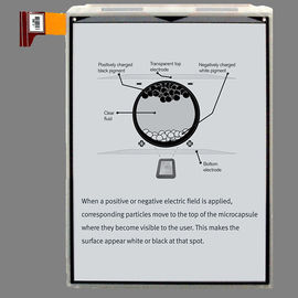 Buy PVI EPD 7.8 Inch E Paper Display Module , 1404 * 1872 Pixels Digital Paper Display  online manufacture