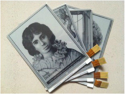 quality Original 6.0 inch E Ink Display 600×800 SVGA with 34 pins Connector for Kindle E Paper Module factory